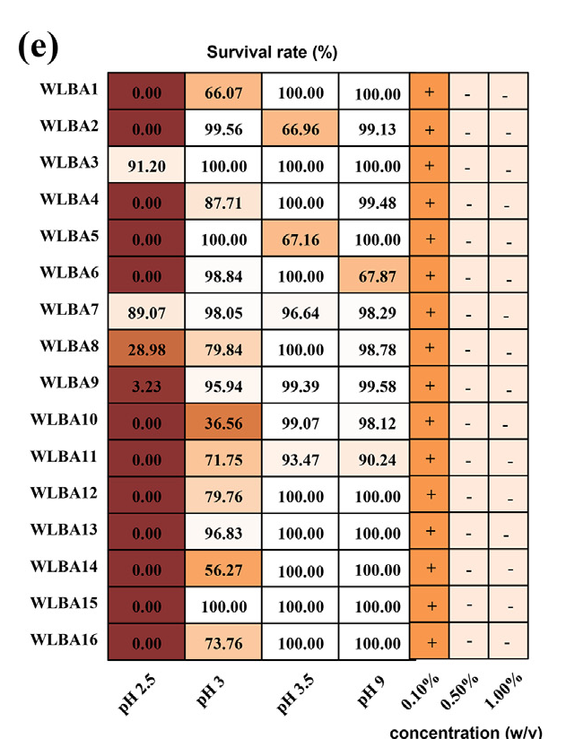 这张图片是一张展示不同菌株在不同条件下存活率的表格，表头包含pH 2.5、pH 3、pH 3.5、pH 9的环境条件，以及0.10%、0.50%、1.00%的浓度条件，每一行对应一株试验菌株，涵盖WLBA1至WLBA16。表格中不同颜色的单元格对应不同的存活率数值，其中部分菌株在特定条件下的存活率存在差异，例如WLBA3在pH 2.5时存活率为91.20%，WLBA7在pH 2.5时存活率为89.07%，WLBA10在pH 2.5时存活率为3.23%，这些数据可用于体现菌株在不同环境下的生存能力，与文档中对GOLDGUT-BB21（即WLBA3）菌株的相关研究内容相呼应，佐证该菌株的特性表现。