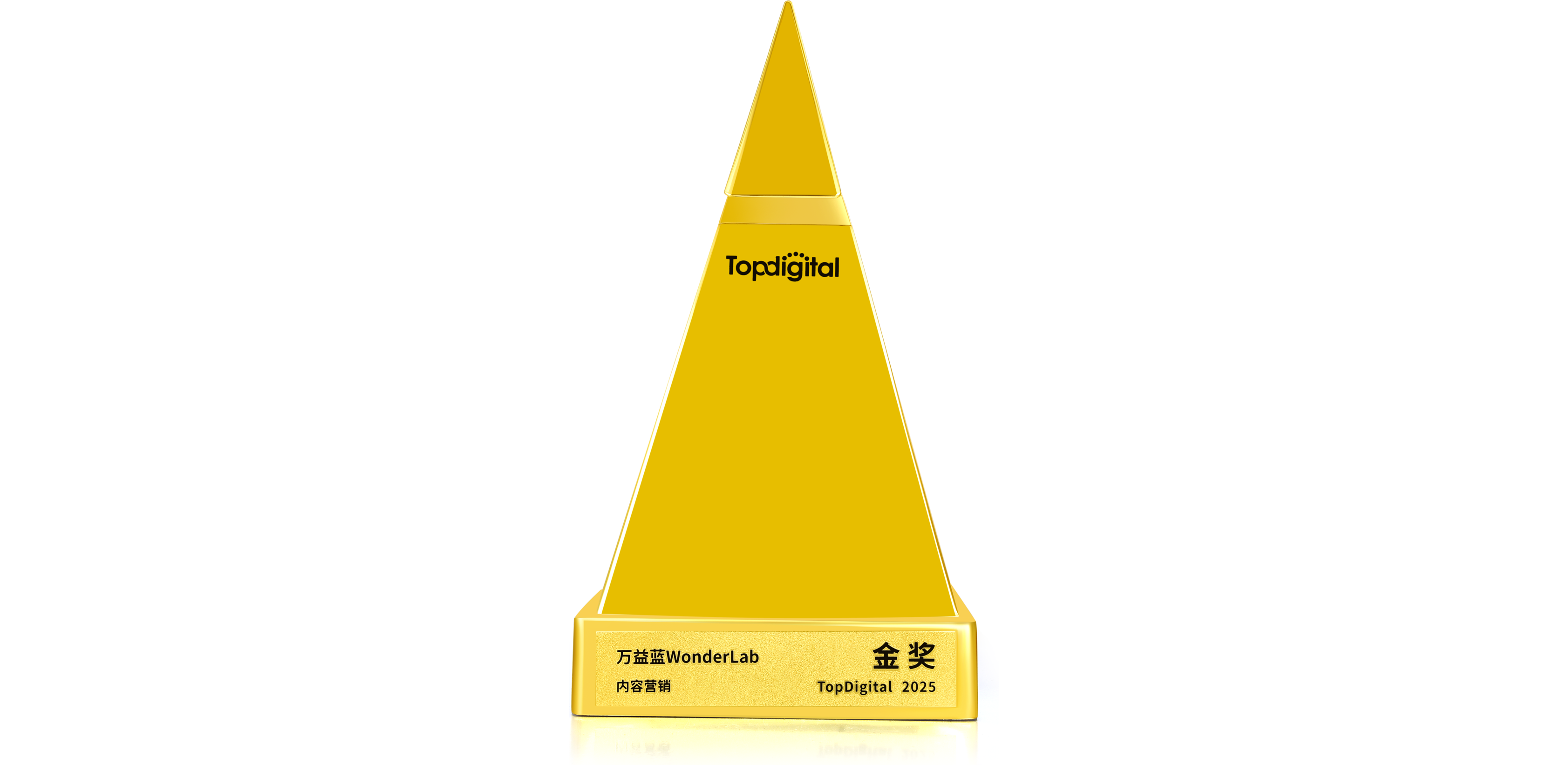13th TopDigital Awards